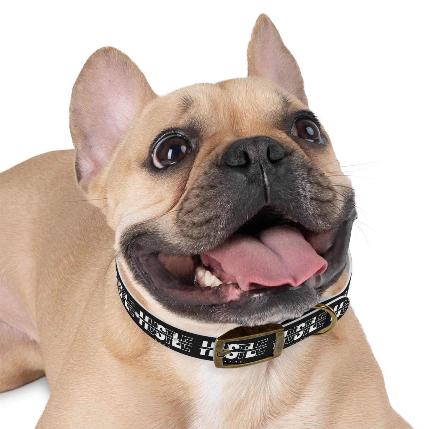 Hustle Hard Dog Collar