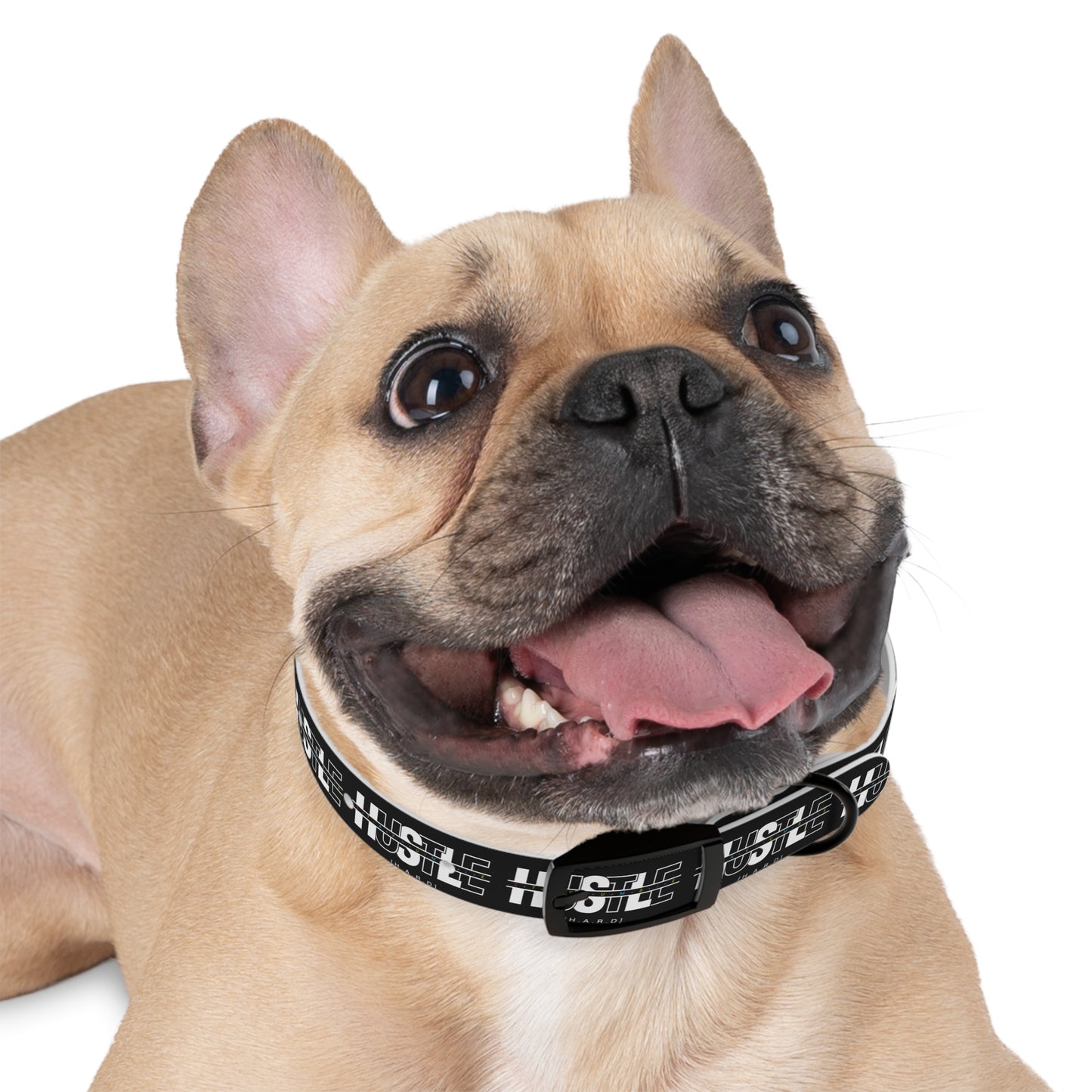 Hustle Hard Dog Collar