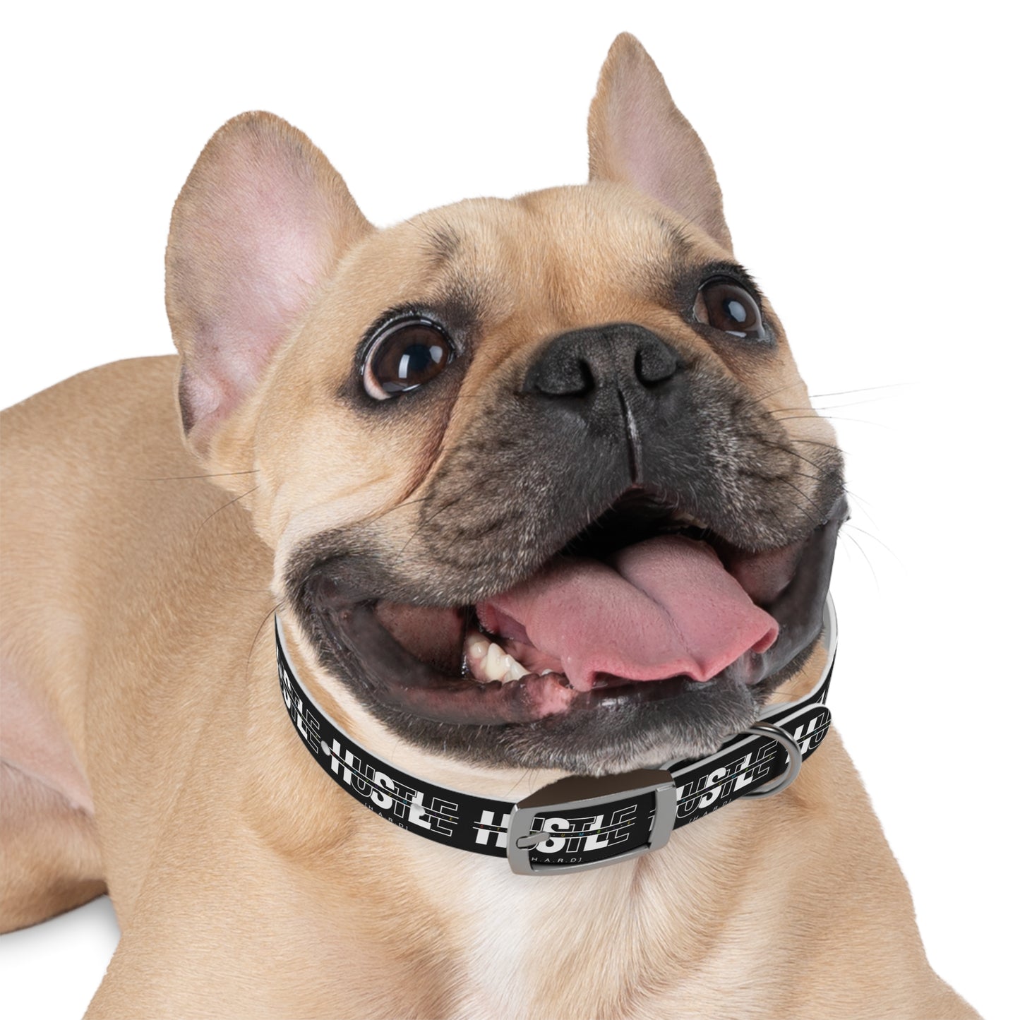 Hustle Hard Dog Collar